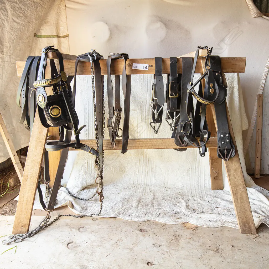 Pair plough harness, Image 1++