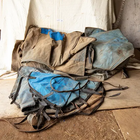 Six Clydesdale size jute lined canvas rugs + three necks to match