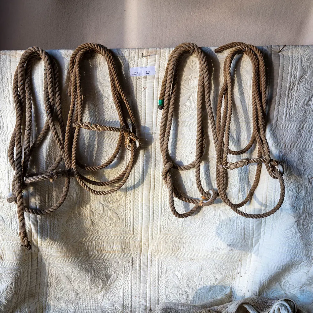 Four spliced rope Head stalls, Image 1++