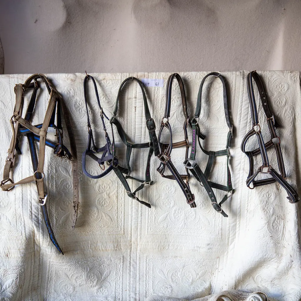 Seven nylon head stalls - one in need of repair Image 1++