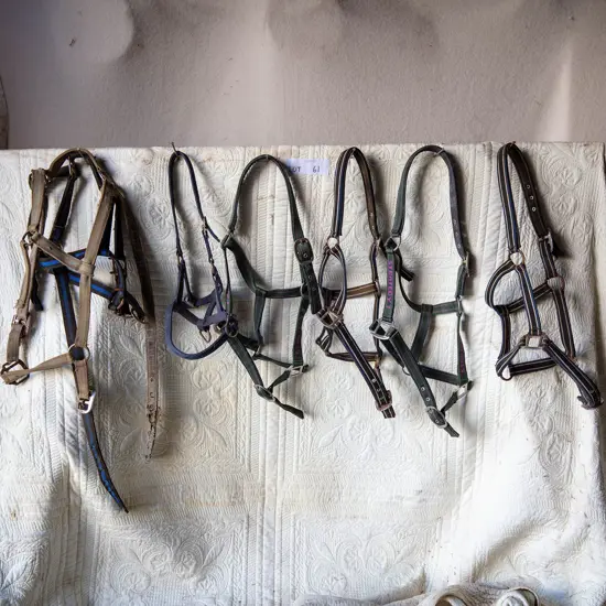 Seven nylon head stalls - one in need of repair