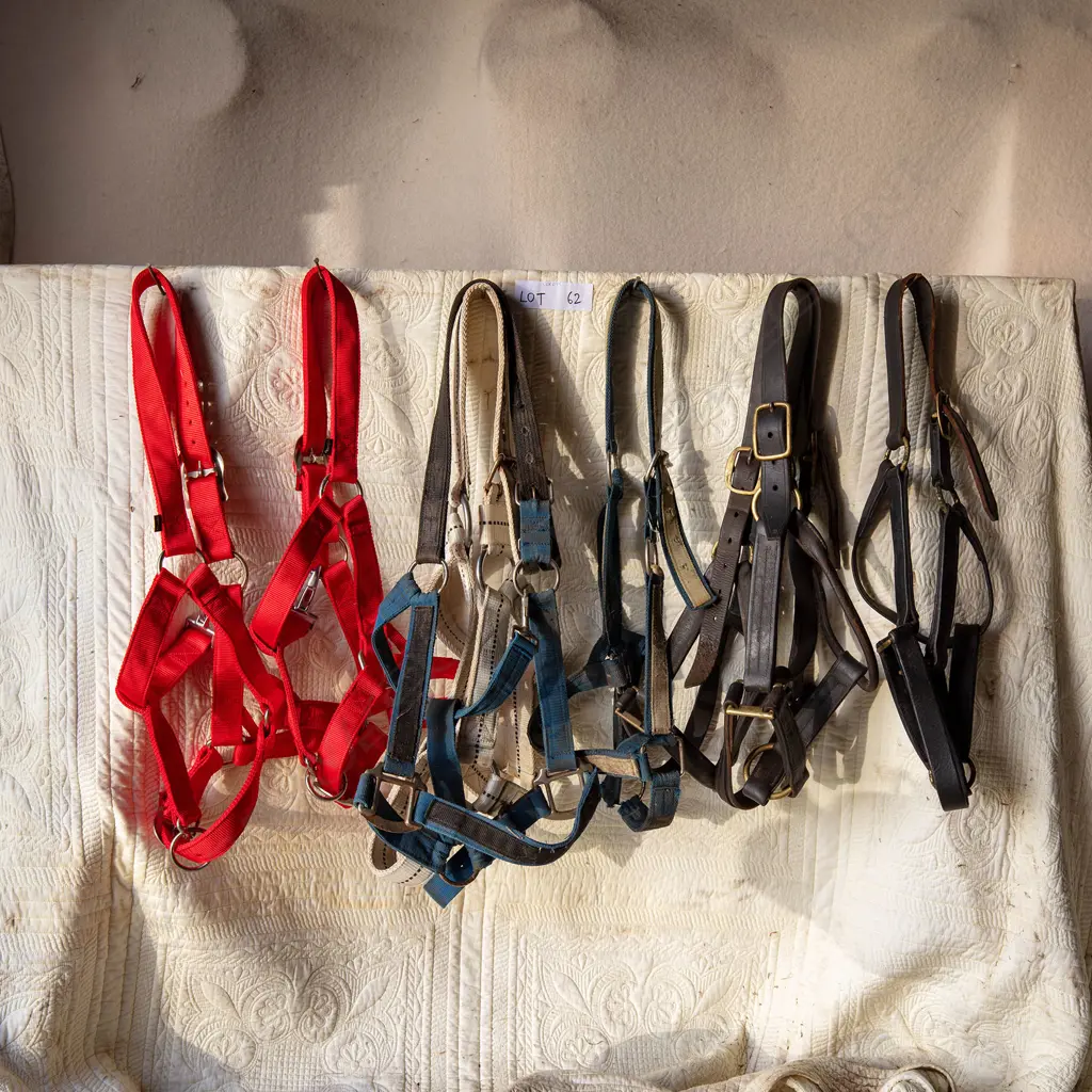 Seven nylon Head stalls, Image 1++