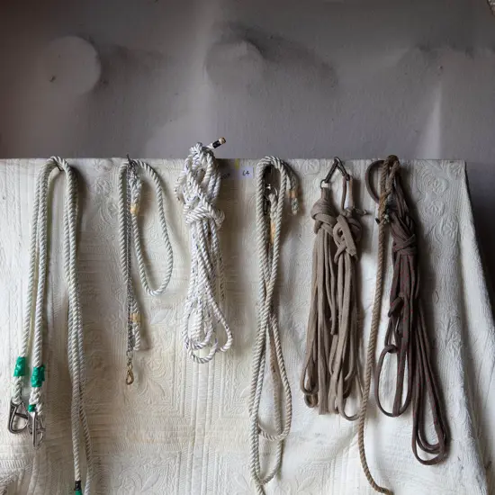 Six short leads and three long lead ropes,