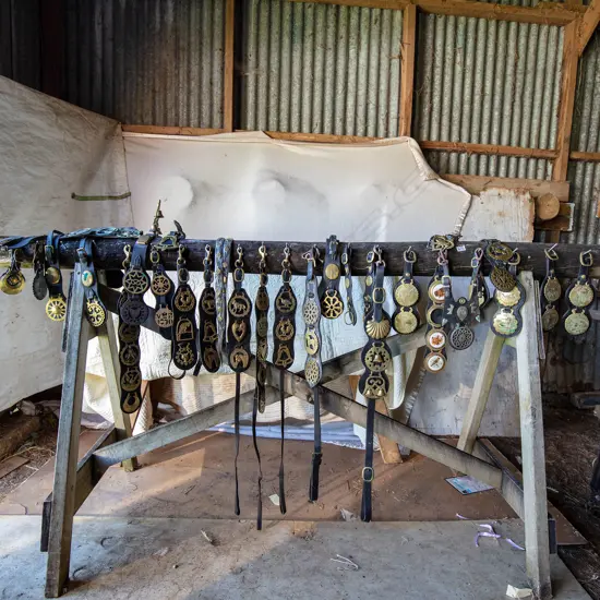 Approximately 26 sets of Medallions on leather backing,