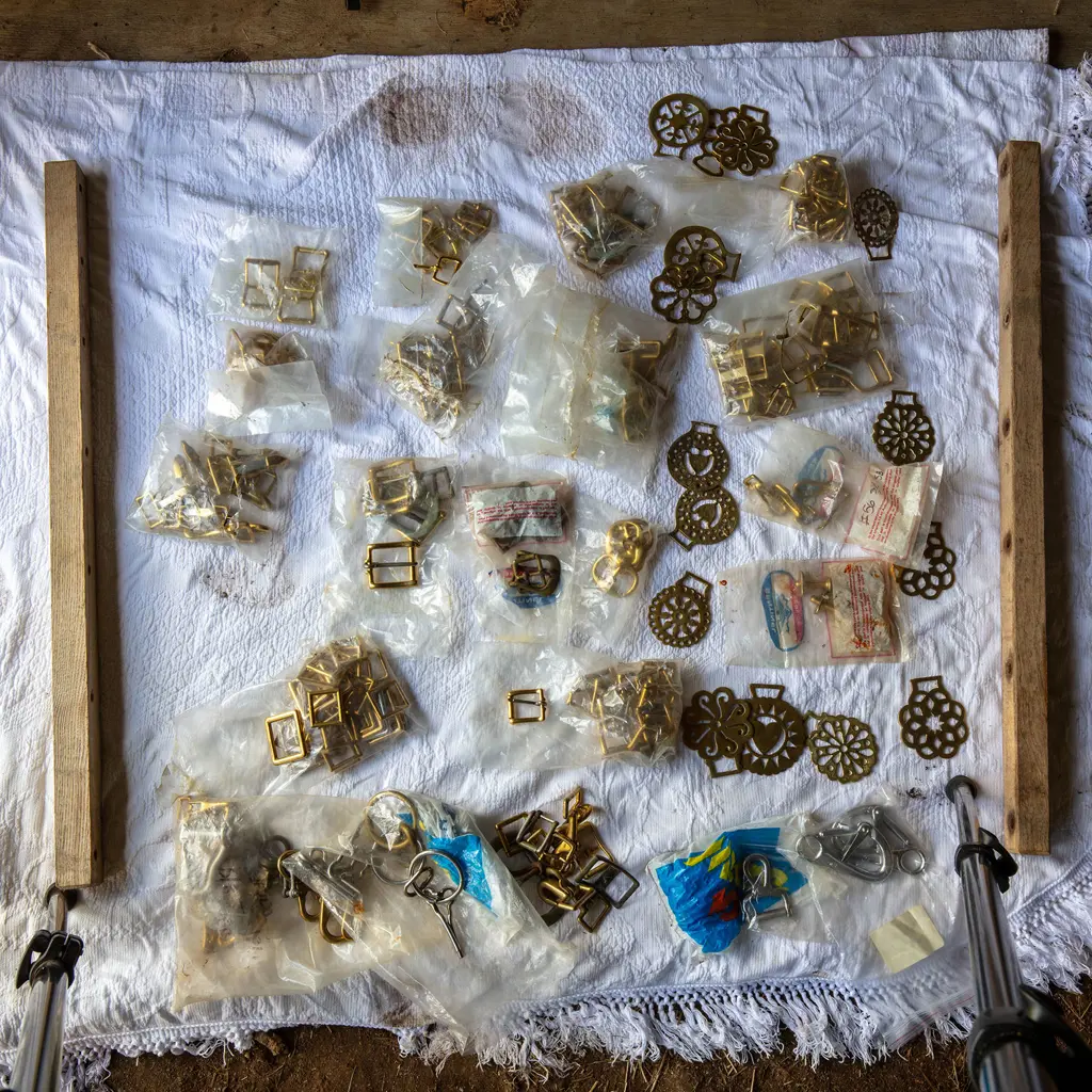 Medallions, small clips and buckles, Image 1++