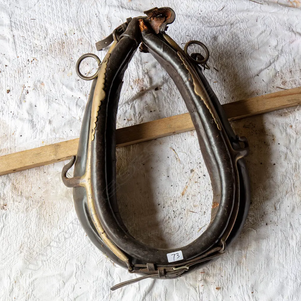 Collar (including brass hames) Image 1++