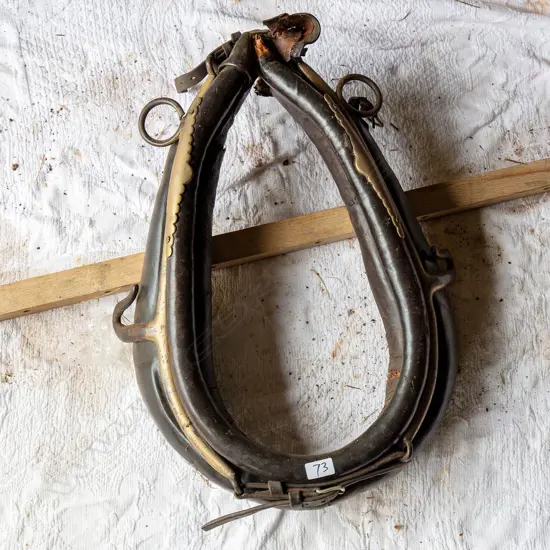 Collar (including brass hames)