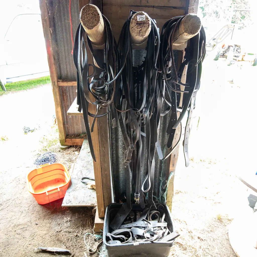 50+ Leather straps, Image 1++