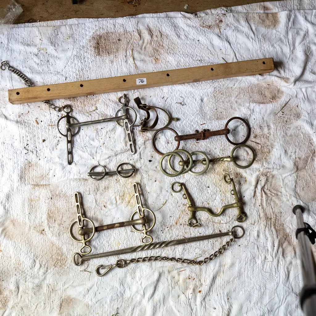 Six Bits and metal and chain stallion lead, Image 1++