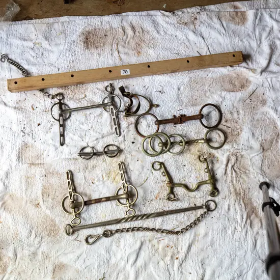 Six Bits and metal and chain stallion lead,