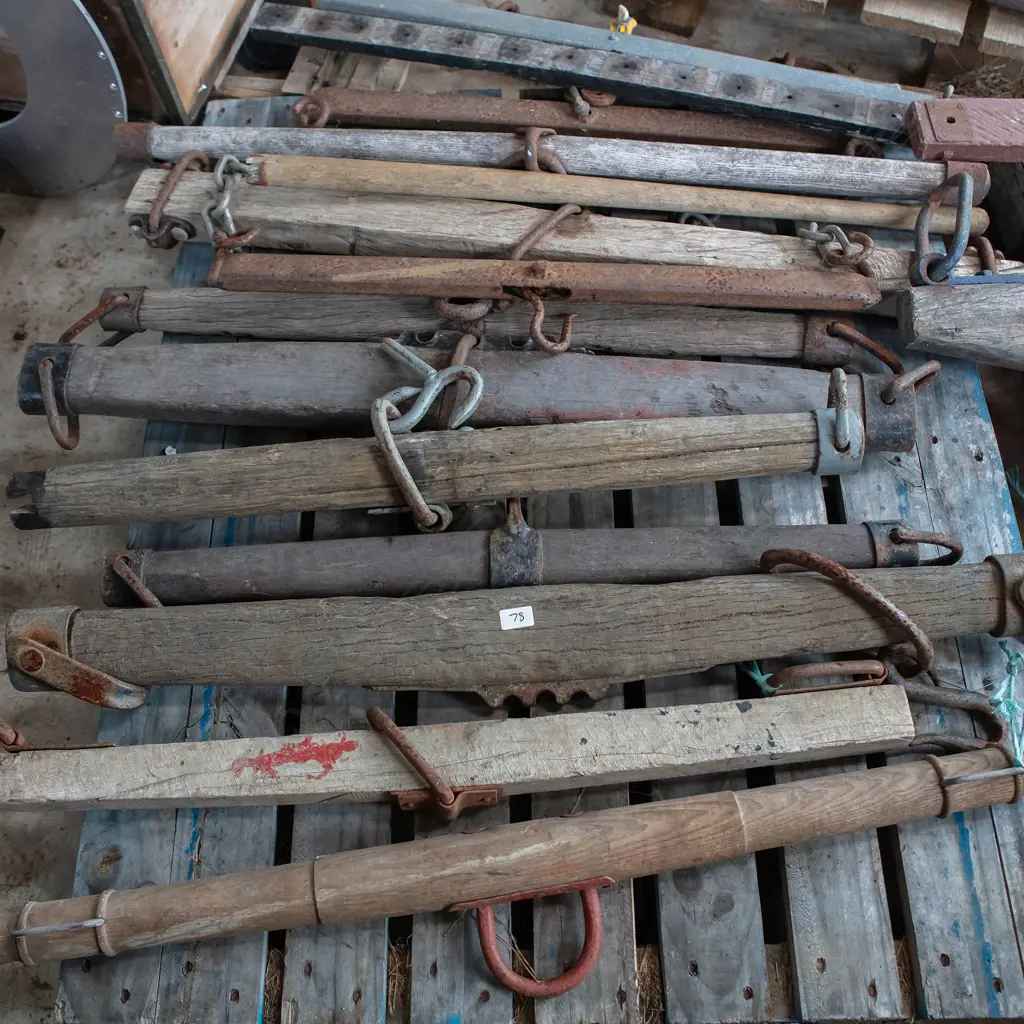 Steel and wooden Trees, Image 1++