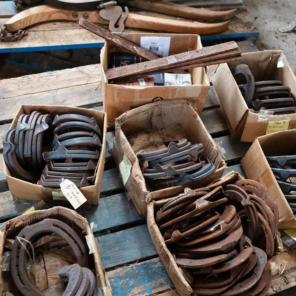 Assorted shoes and nails, Image 1++