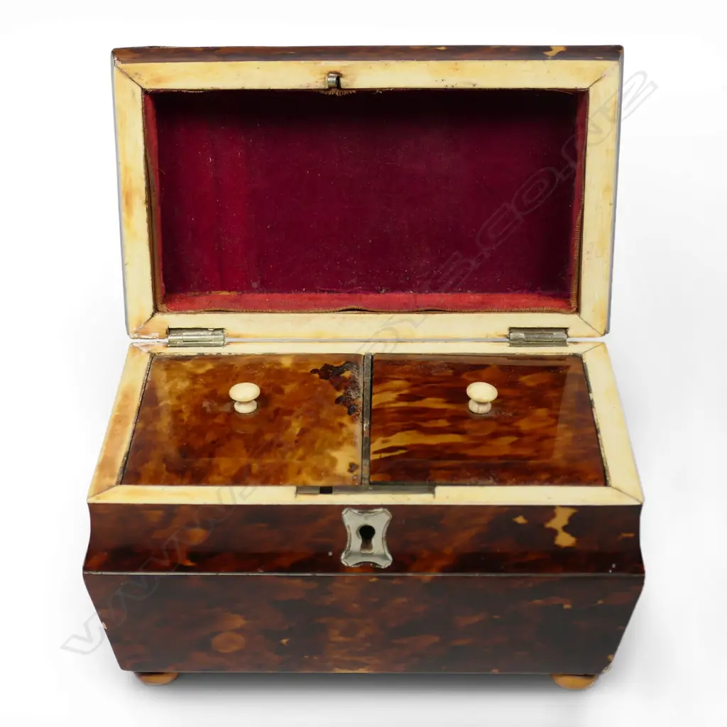 A small Georgian tortoiseshell tea caddy, Image 1++