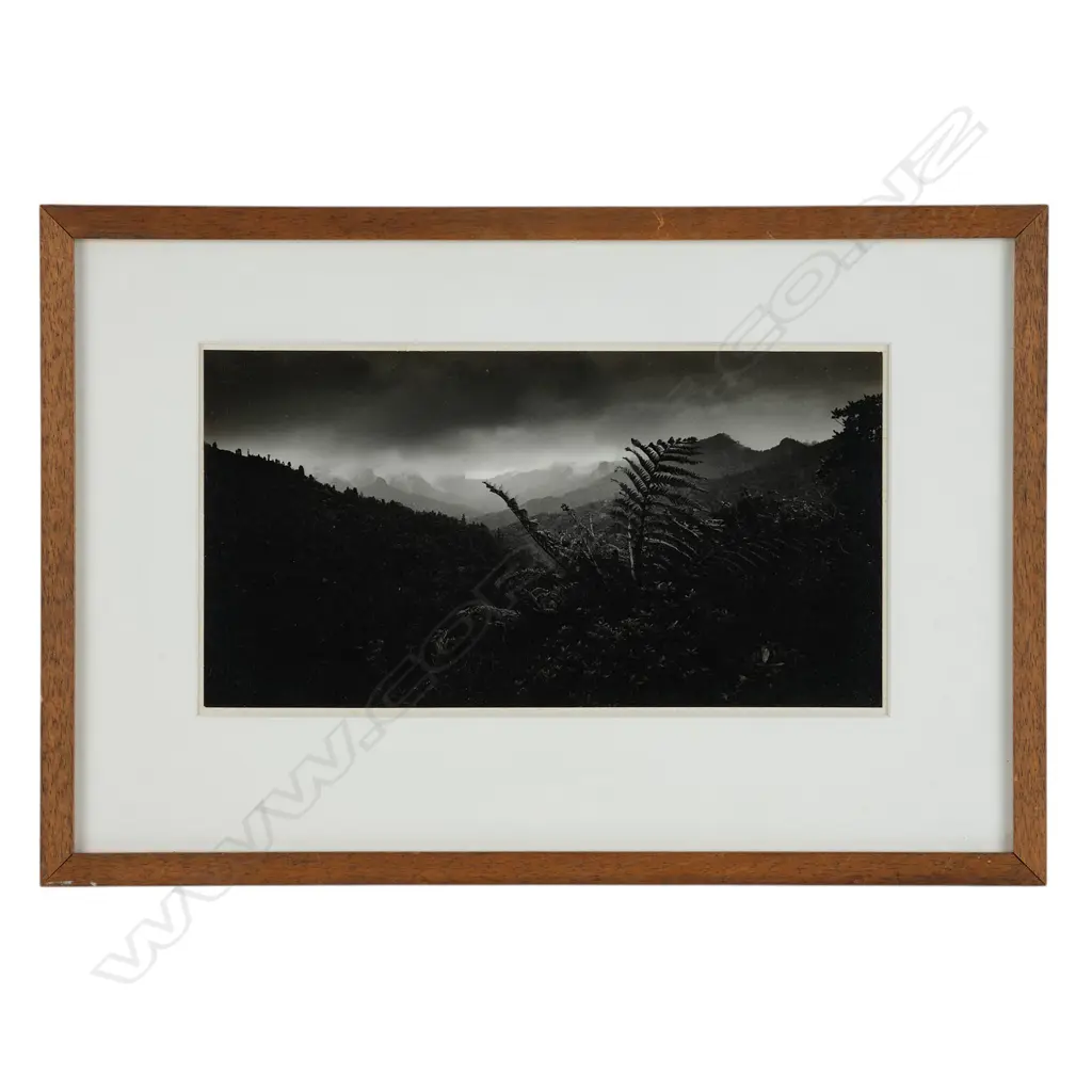 John Fields (1938-2013) ‘Coroglen road, Coromandel Peninsula’, Image 1++