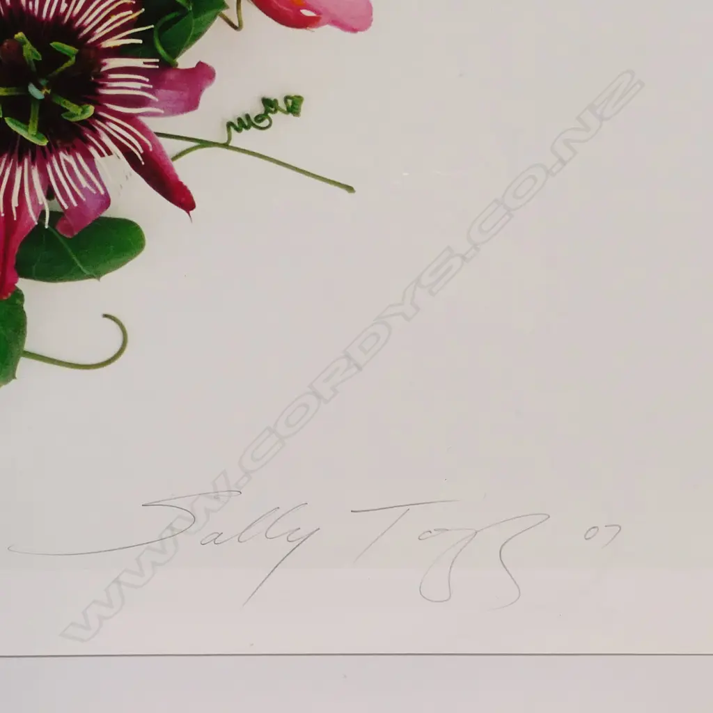 Sally Tagg 'Wreath with Star', Image 1++