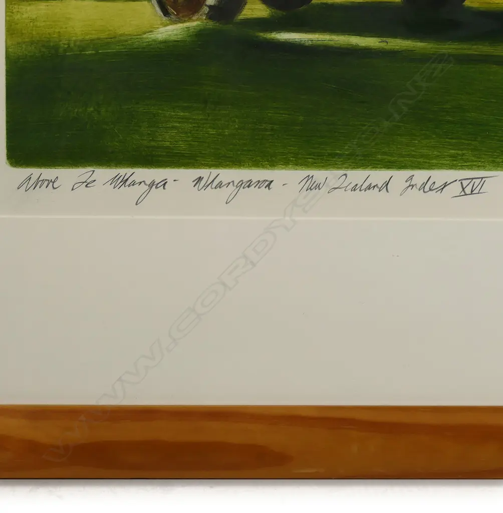 Stanley Palmer (NZ 1936-)  'Above Te Whanga - Whangaroa - New Zealand Index XVI', Image 1++