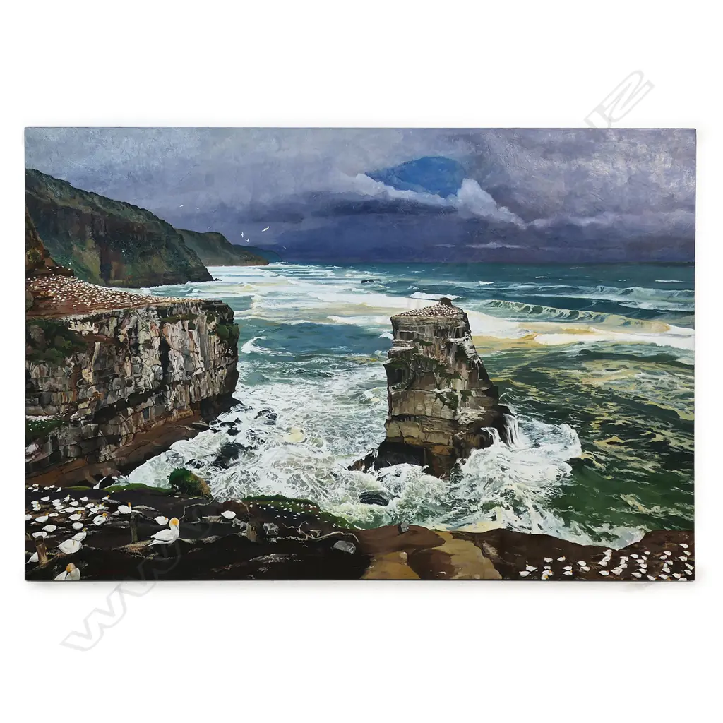 James Ballantyne (NZ) Muriwai Gannet Colony, Image 1++