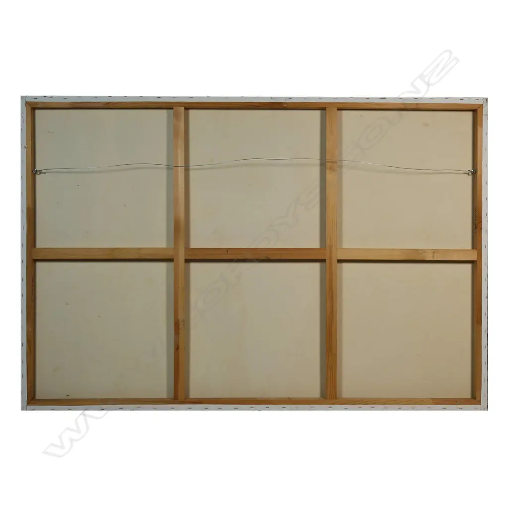 James Ballantyne (NZ) Muriwai Gannet Colony, Image 1++