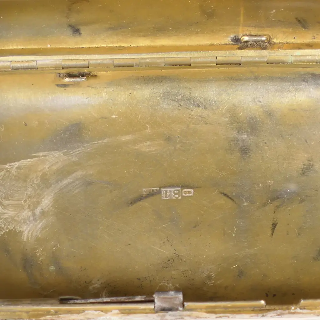 An unmarked silver and leather covered etui, Image 1++