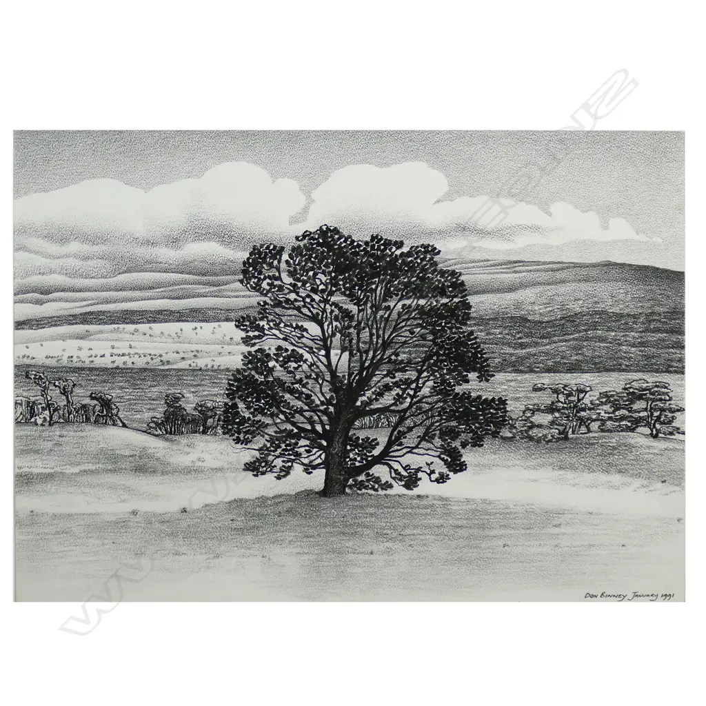 Don Binney (NZ 1940-2012) Countryside, Image 1++
