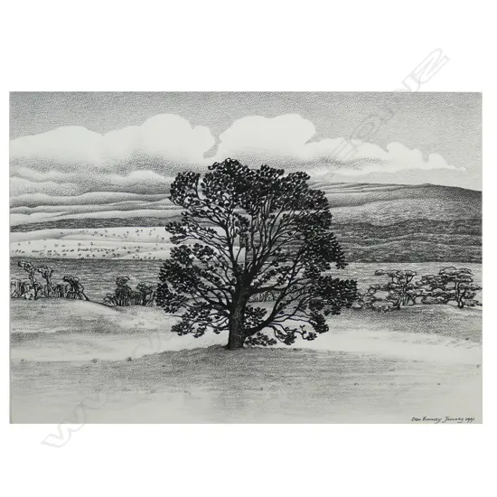 Don Binney (NZ 1940-2012) Countryside,