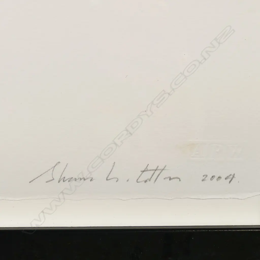 Shane Cotton (NZ 1964-) 'A Walk in Paradise', Image 1++