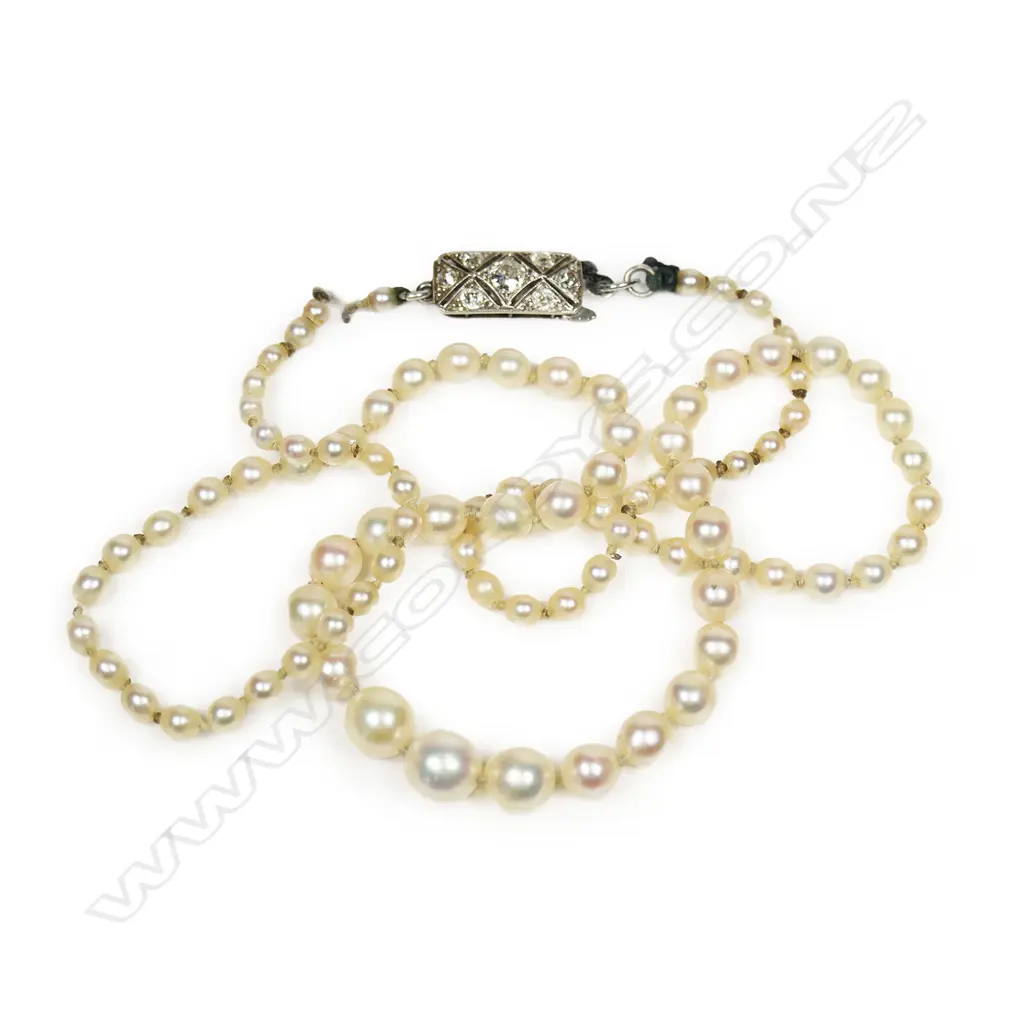A natural pearl single strand necklace, Image 1++