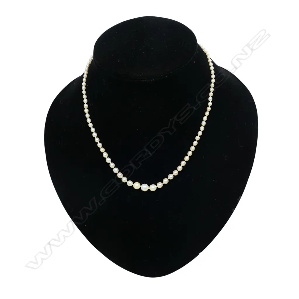 A natural pearl single strand necklace, Image 1++