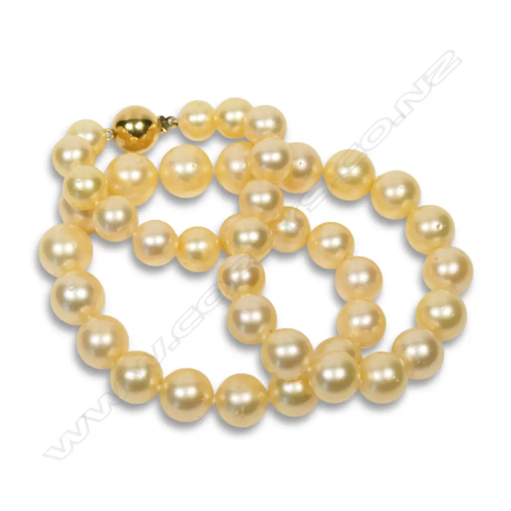 A South Sea cultured pearl necklace, Image 1++