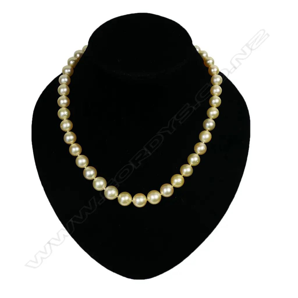 A South Sea cultured pearl necklace, Image 1++