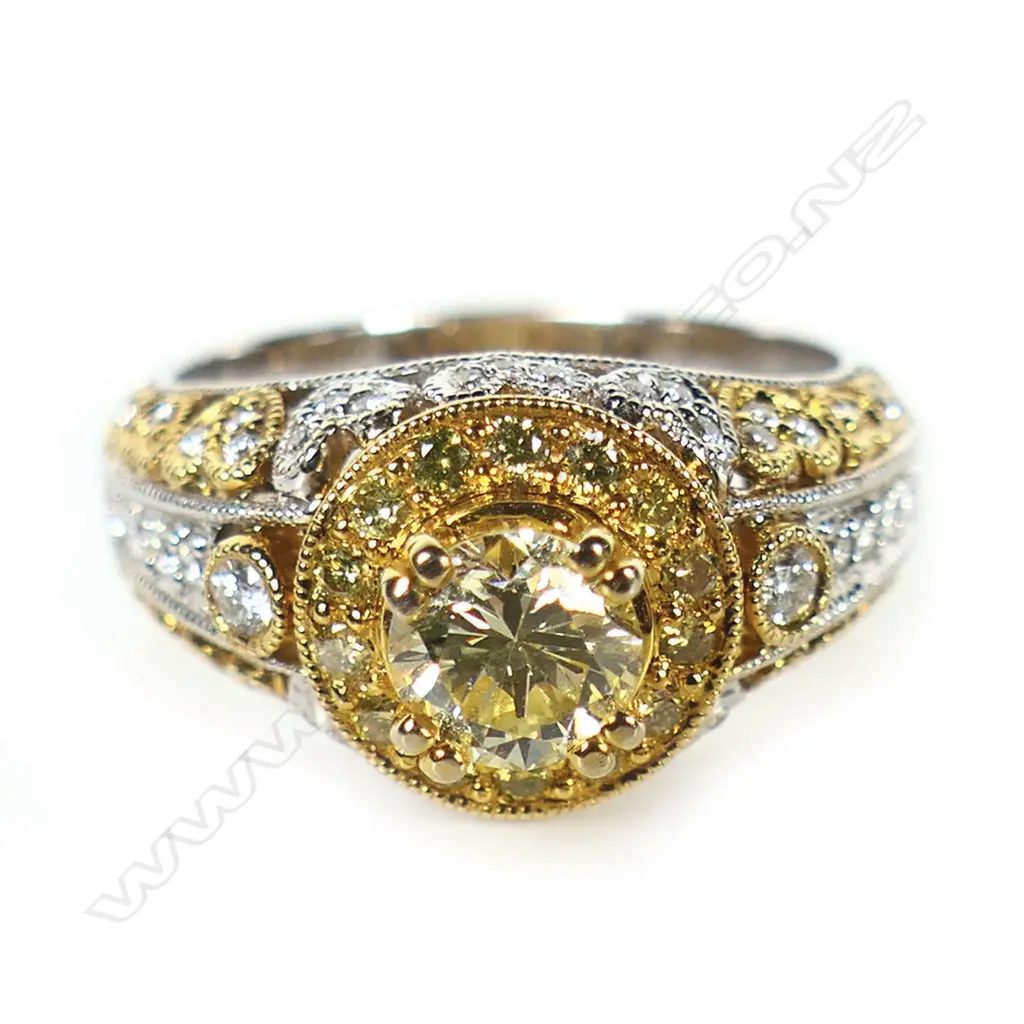 An 18ct white and yellow gold and fancy yellow diamond cluster ring, Image 1++