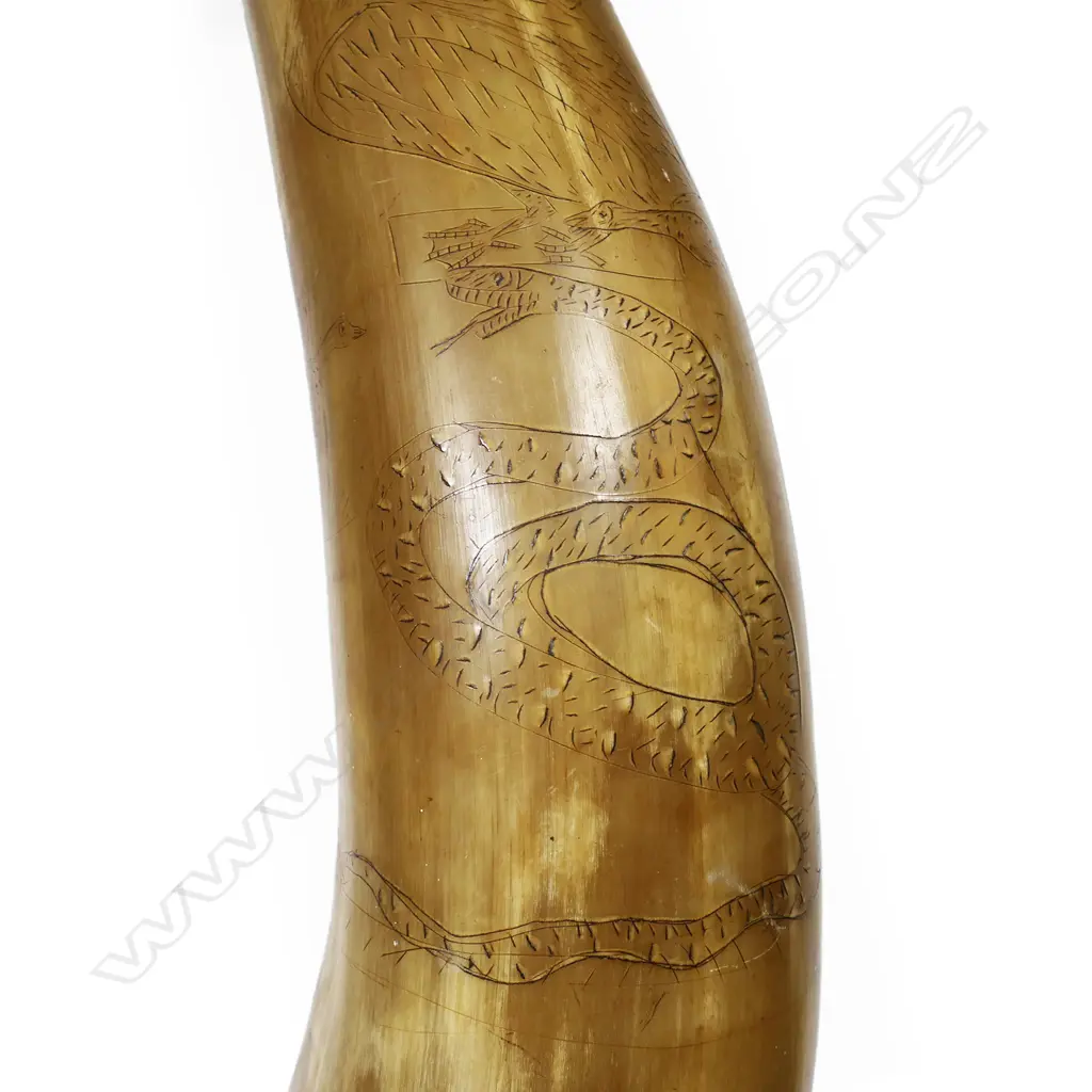 Large 1800s bullock horn scrimshaw, Image 1++