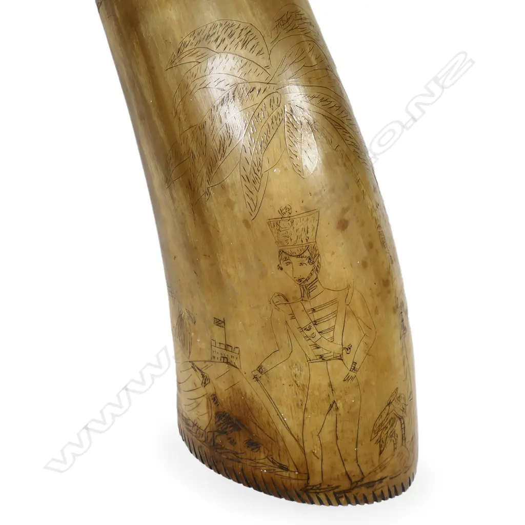 Large 1800s bullock horn scrimshaw, Image 1++