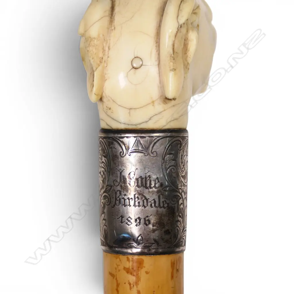 A quality carved ivory dog's head handled walking stick, Image 1++
