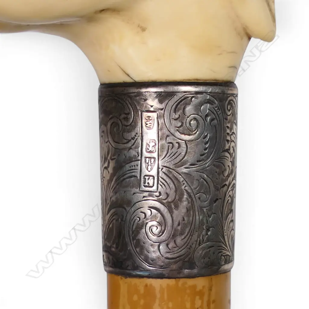 A quality carved ivory dog's head handled walking stick, Image 1++
