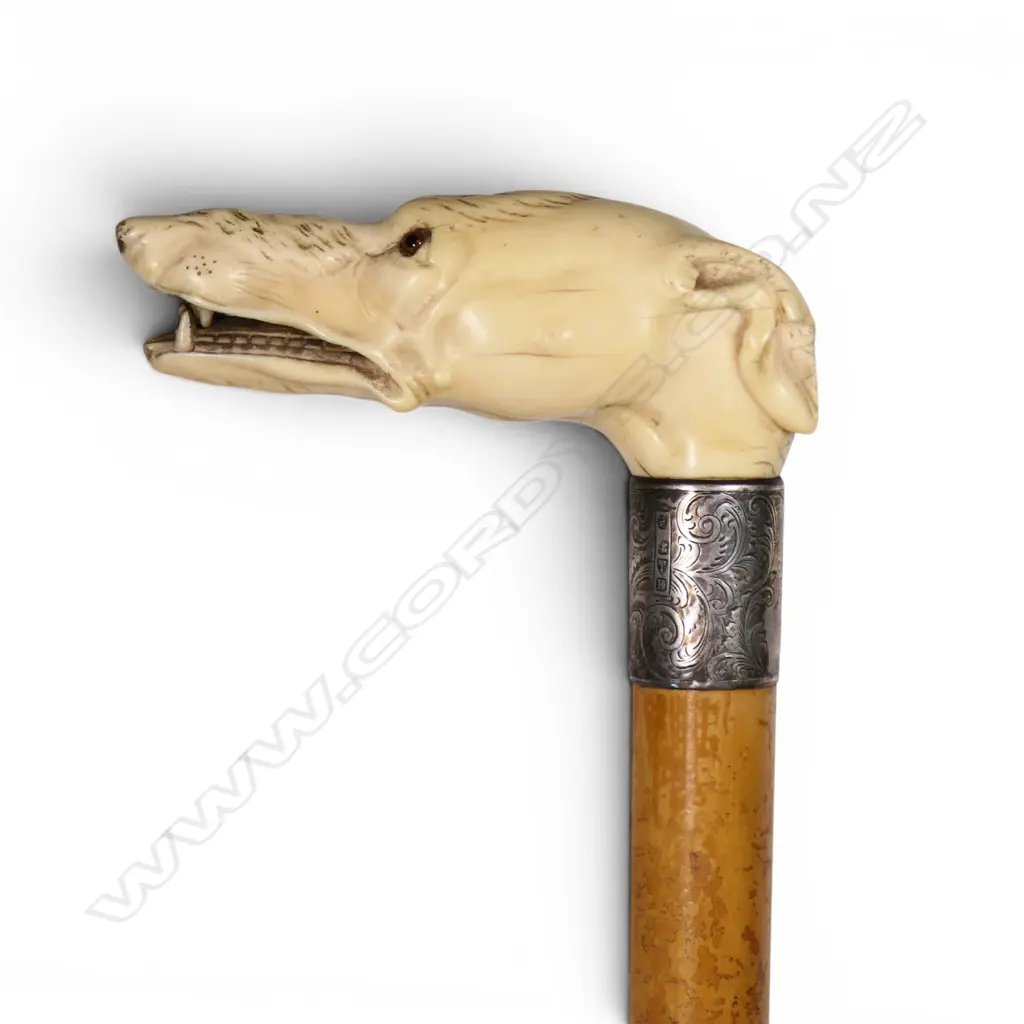 A quality carved ivory dog's head handled walking stick, Image 1++
