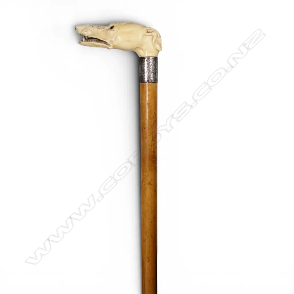 A quality carved ivory dog's head handled walking stick, Image 1++