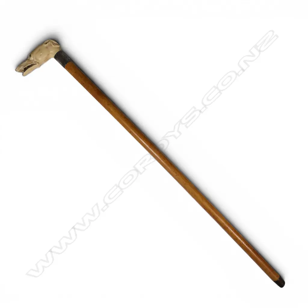 A quality carved ivory dog's head handled walking stick, Image 1++