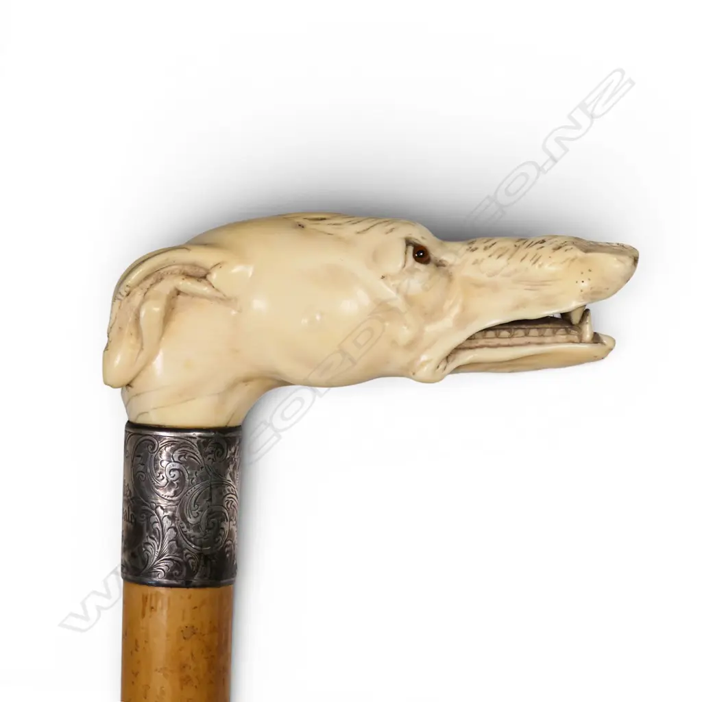 A quality carved ivory dog's head handled walking stick, Image 1++