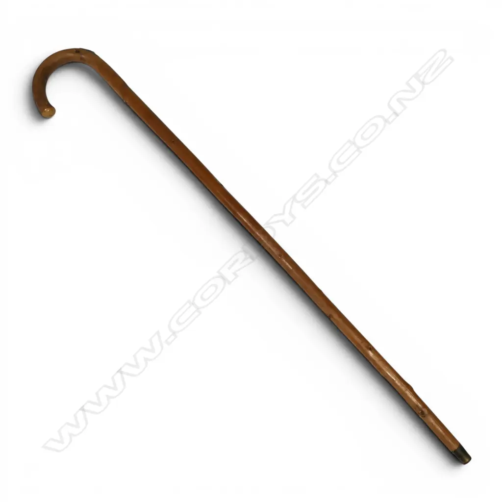 An early 20thC wood walking stick containing a horse measuring stick, Image 1++