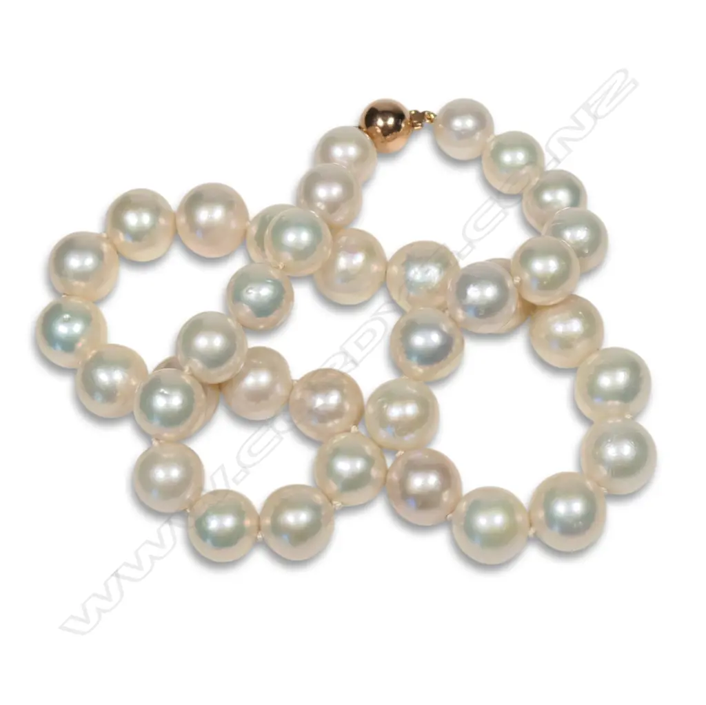 A single strand cultured pearl necklace, Image 1++