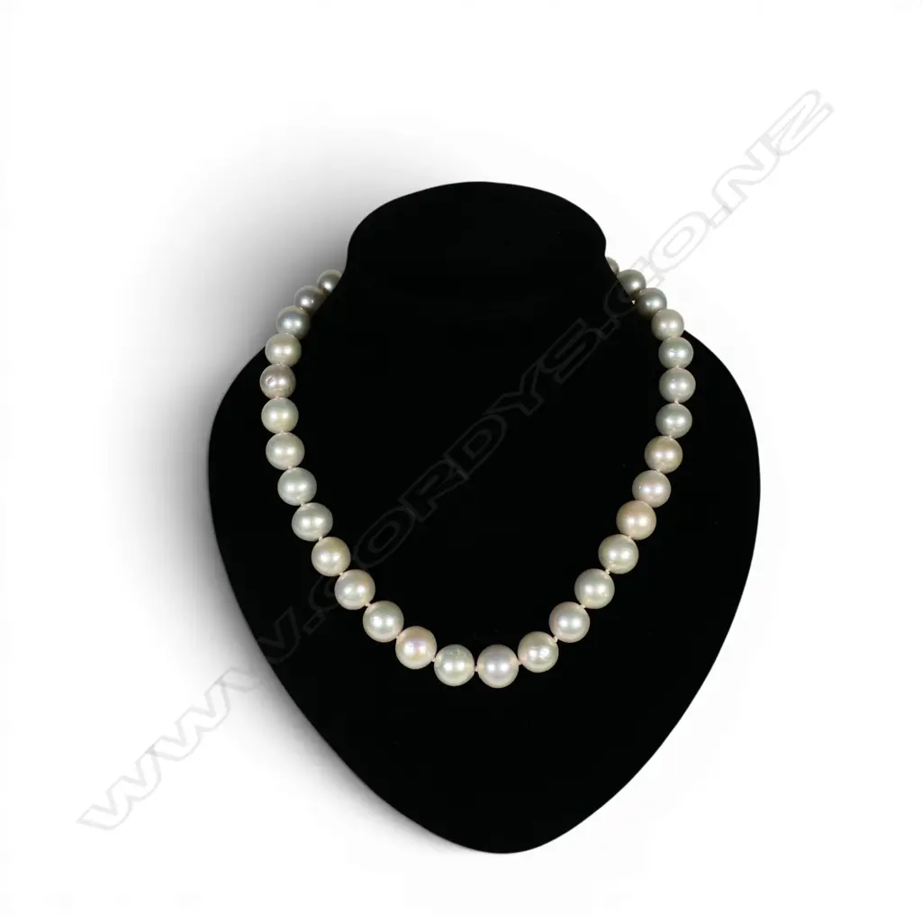 A single strand cultured pearl necklace, Image 1++