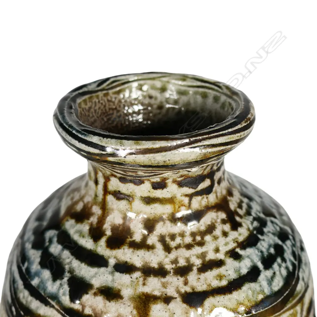 Mirek Smisek ‘Tararua’ salt glazed vase, Image 1++