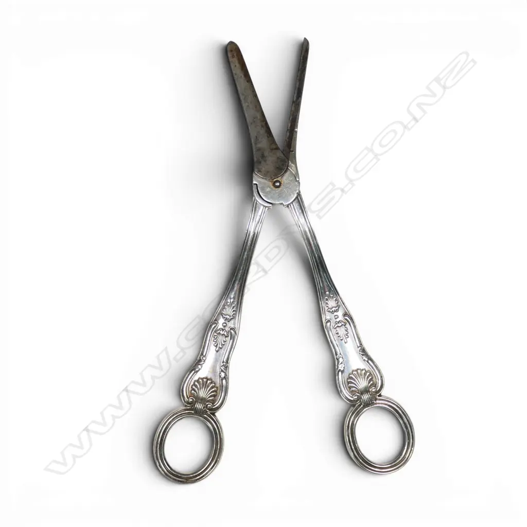 A pair of Edwardian silver grape scissors, Image 1++