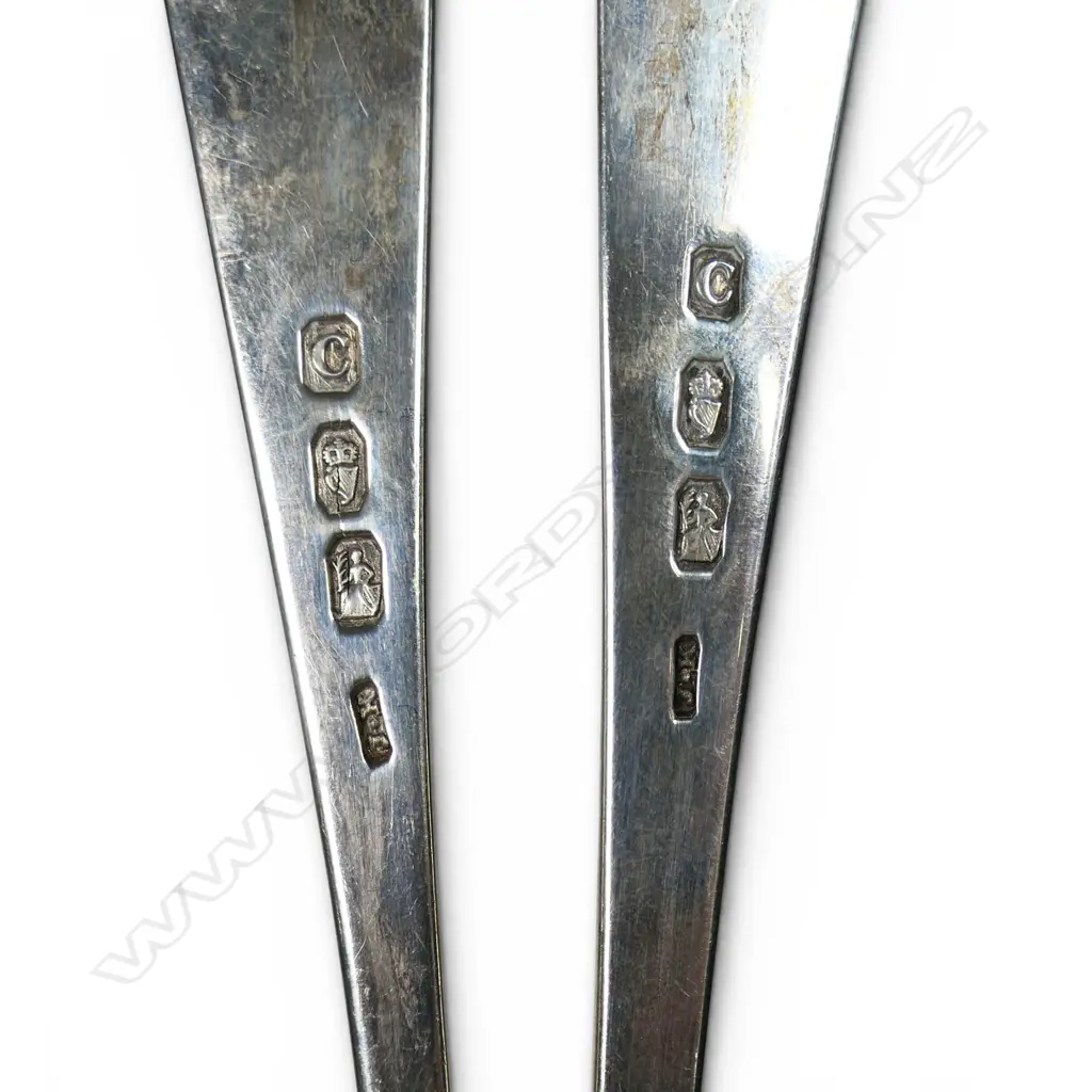 A pair of George III Irish silver table spoons, Image 1++