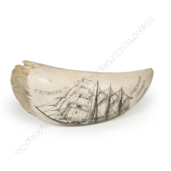 An old whale tooth,