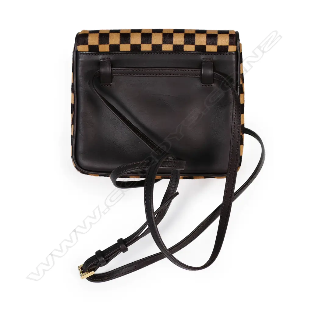 A Louis Vuitton Damier Sauvage Gazelle small shoulder bag, Image 1++