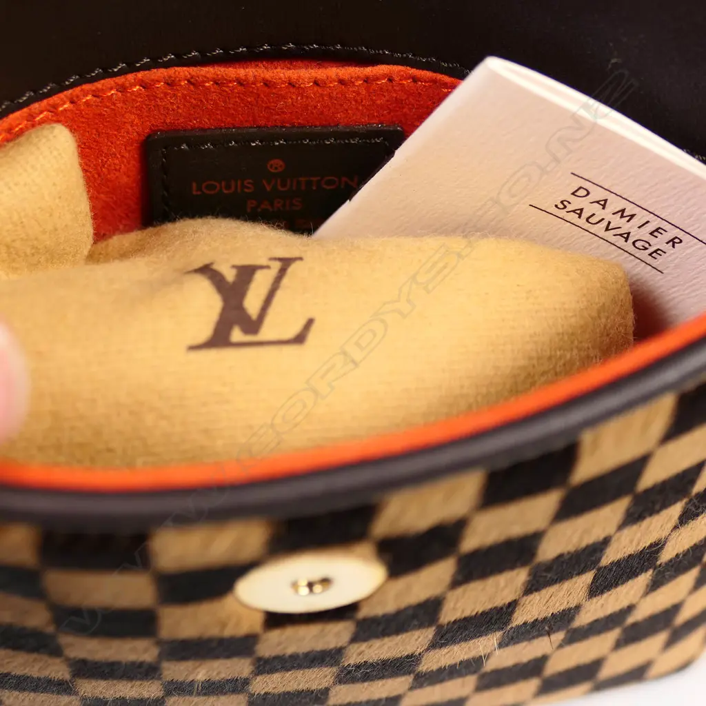 A Louis Vuitton Damier Sauvage Gazelle small shoulder bag, Image 1++