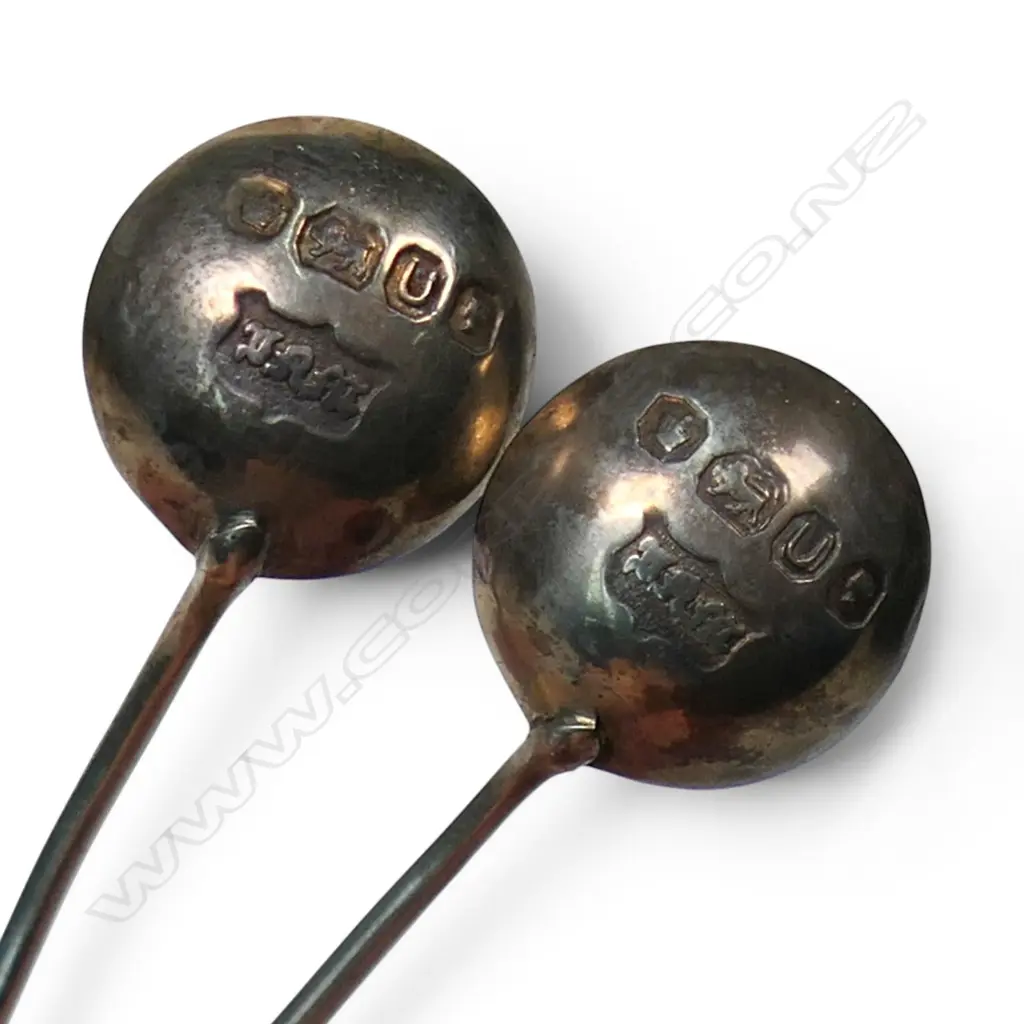 A Victorian silver cased condiment set, Image 1++