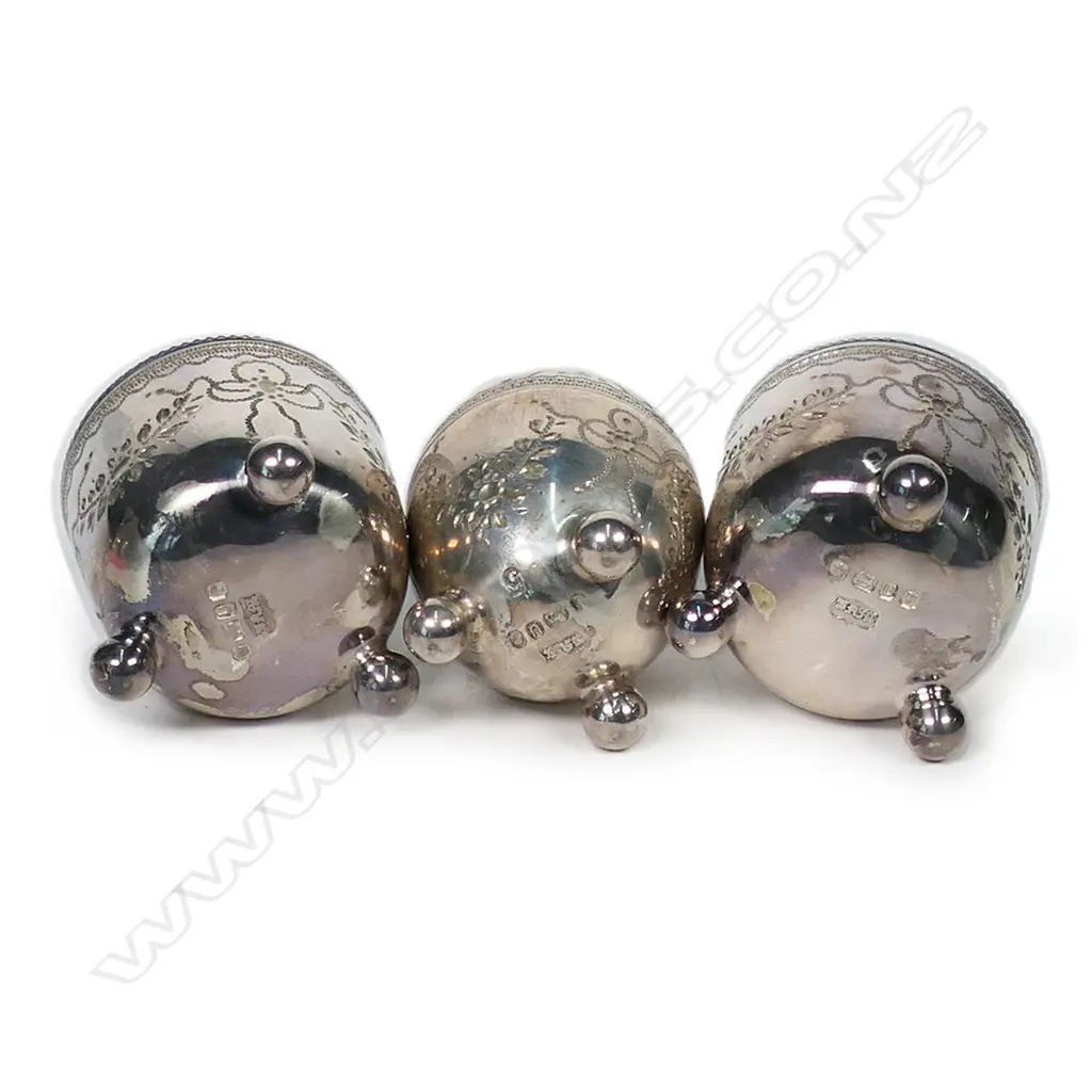 A Victorian silver cased condiment set, Image 1++
